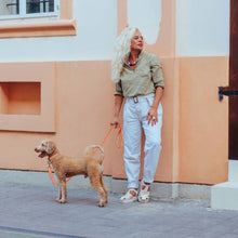 HOMEBOX | Canine Glow-in-Dark Pet Leash | 166110910