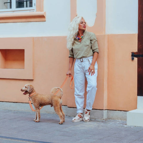 HOMEBOX | Canine Glow-in-Dark Pet Leash | 166110910