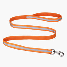 HOMEBOX | Canine Glow-in-Dark Pet Leash | 166110910