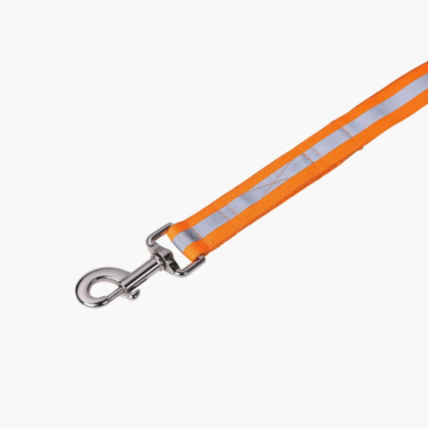 HOMEBOX | Canine Glow-in-Dark Pet Leash | 166110910