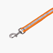 HOMEBOX | Canine Glow-in-Dark Pet Leash | 166110910