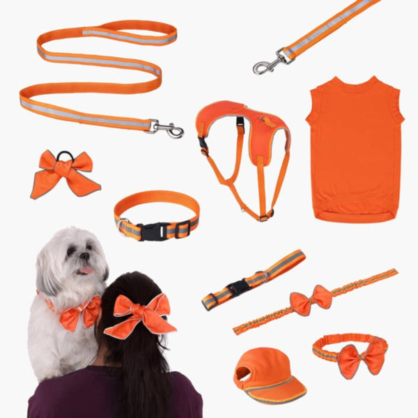 HOMEBOX | Canine Glow-in-the-Dark Parent Hairband - 12-16 cm | 166110912