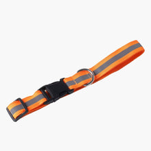 HOMEBOX | Canine Glow-in-the-Dark Pet Collar - Small | 166110913