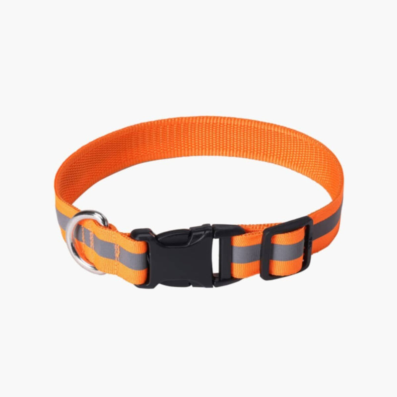 HOMEBOX | Canine Glow-in-the-Dark Pet Collar - Medium | 166110914