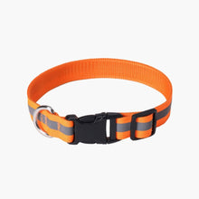 HOMEBOX | Canine Glow-in-the-Dark Pet Collar - Medium | 166110914