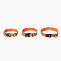 HOMEBOX | Canine Glow-in-the-Dark Pet Collar - Medium | 166110914