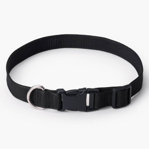 HOMEBOX | Canine Nylon Pet Collar - Small | 166110920