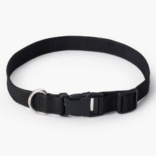 HOMEBOX | Canine Nylon Pet Collar - Small | 166110920