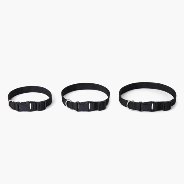 HOMEBOX | Canine Nylon Pet Collar - Small | 166110920