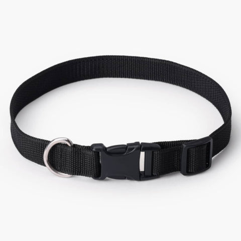 HOMEBOX | Canine Nylon Pet Collar - Large | 166110922