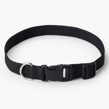 HOMEBOX | Canine Nylon Pet Collar - Large | 166110922