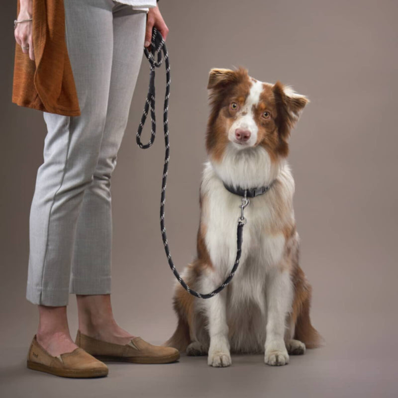 HOMEBOX | Canine Rope Pet Leash | 166110923