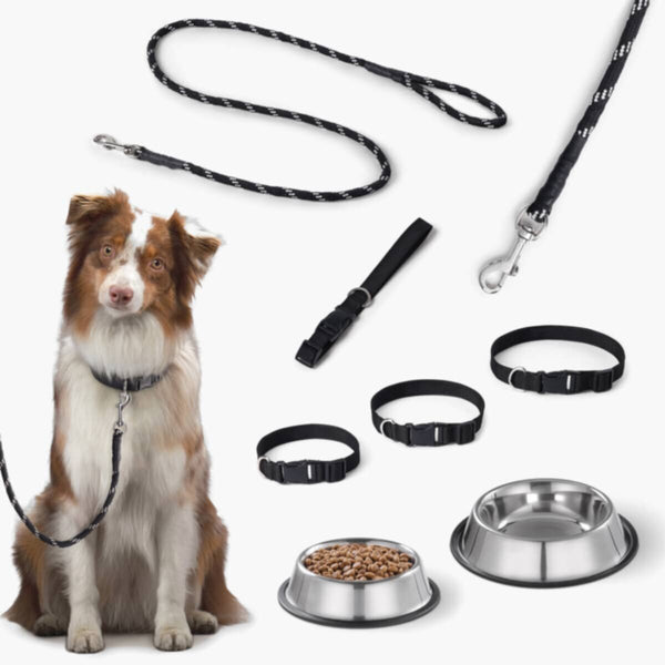 HOMEBOX | Canine Rope Pet Leash | 166110923