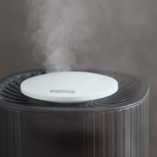 HOMEBOX | Nova Humidifier with 7-Colour LED Light - 2.5 L | 166158125