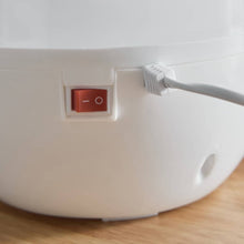 HOMEBOX | Nova Humidifier with Ultrasonic Mist and 7-Colour LED Light - 3 L | 166158127