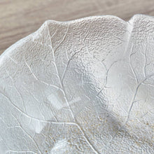 HOMEBOX | Luminarc Temp Aspen Bowl - 23 cm | 166209606