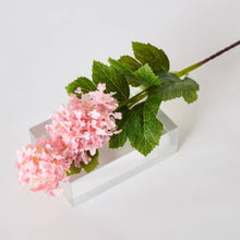 HOMEBOX | Siera Snowball Stem Flower - 65 cm | 166235063