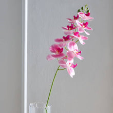 HOMEBOX | Lida 9-Head Orchid Stem - 95 cm | 166239343