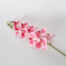 HOMEBOX | Lida 9-Head Orchid Stem - 95 cm | 166239343