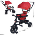 Tricycle Toy for Kids 1-3Yrs Red | 318 1