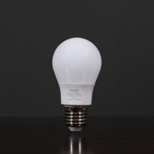 MILANO | New Led Bulb 6W E-27 6500K | 210301100052
