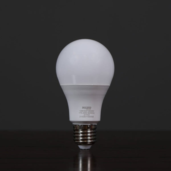 MILANO | New Led Bulb 12W E-27 6500K | 210301100056