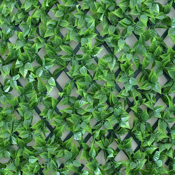 PROCAMP | Willow Fence | ZZZZMISCMZ186002DTRL