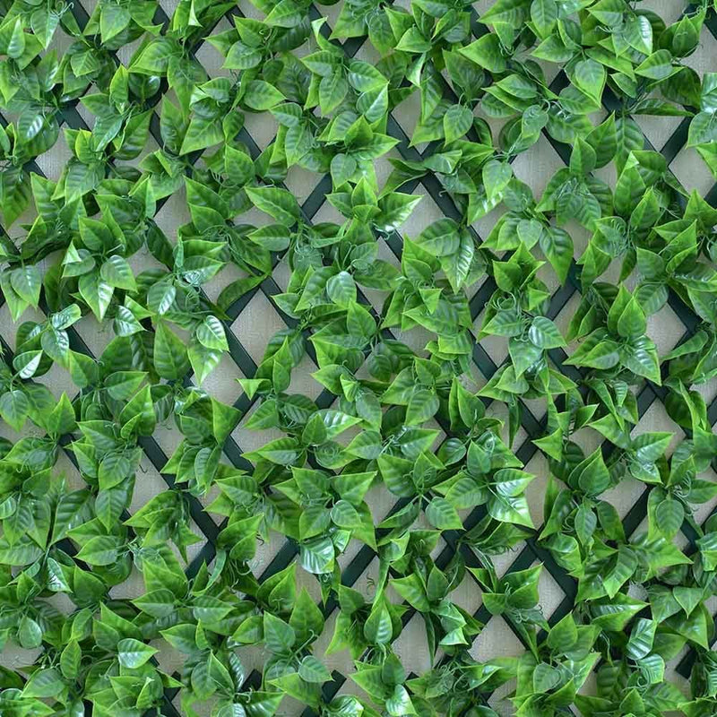 PROCAMP | Willow Fence | ZZZZMISCMZ186002DTRL
