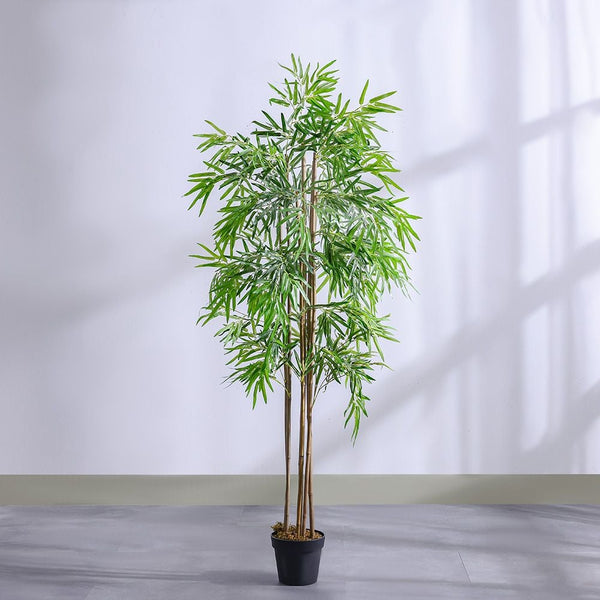 DANUBE | Bamboo 6 Rod150 Group Lvs Potted Plant 210Cm Multi Color | 231202709858