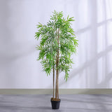 DANUBE | Bamboo 6 Rod150 Group Lvs Potted Plant 210Cm Multi Color | 231202709858