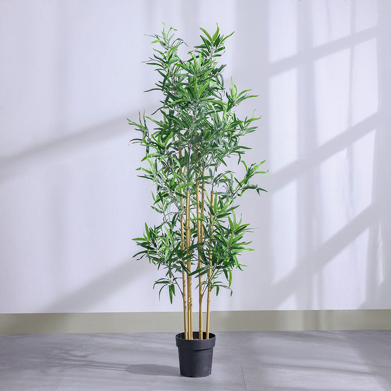 DANUBE | Bamboo 183 Lvs Potted Plant 145Cm