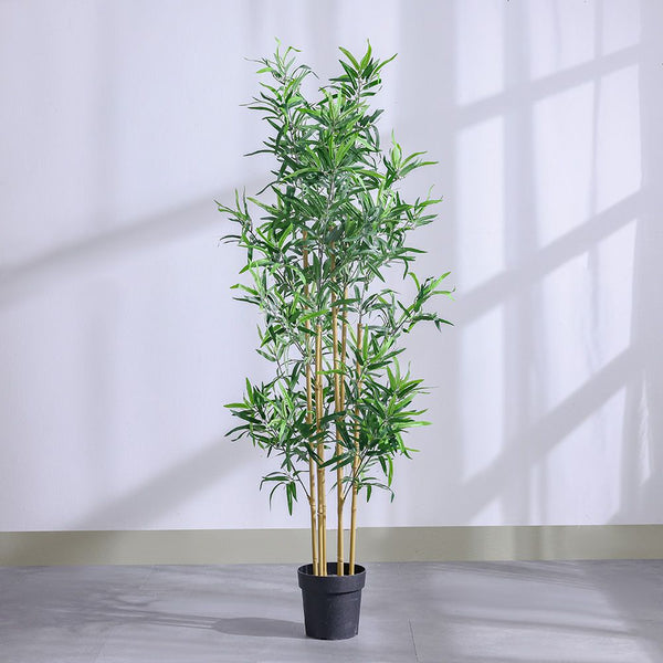 DANUBE | Bamboo 183 Lvs Potted Plant 145Cm | 231202709859