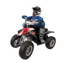 RAZOR | Dirt Quad Black 500W 13Km/Hr Black | 25186501