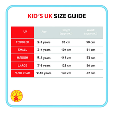 RUBIES | Frozen 2-Elsa Travel Dress Classic | 300284-L