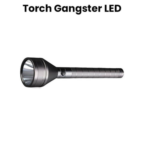 Mr Light | Torch | MR 240