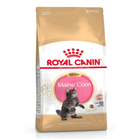 ROYAL CANIN | Nutrition Maine Coon Kitten 2 KG