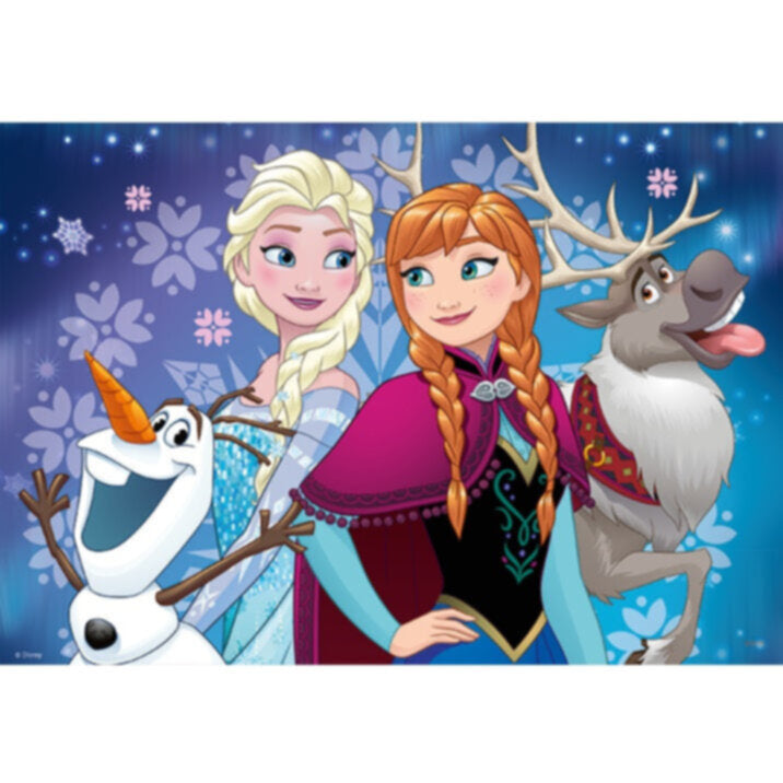 RAVENSBURGER | DFZ: Northern Lights 2x24 pc Children's Puzzle | RB090747