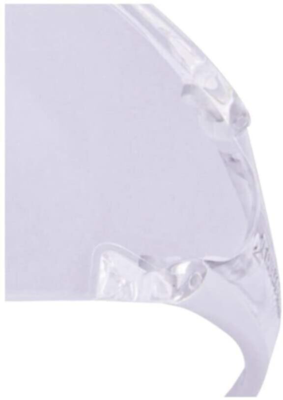 DELTAPLUS | Safety Goggles Clear | EGONGRIN