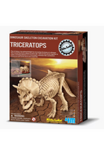 4M | Dig a Triceratops Skeleton Excavation | 48603228