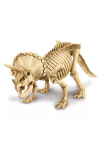 4M | Dig a Triceratops Skeleton Excavation | 48603228