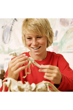 4M | Dig a Triceratops Skeleton Excavation | 48603228