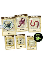 4M | Creepy Crawly Digging Kit | 48603397