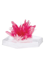 4M | Crystal Growing Experimental Kit/Eu | 48603915