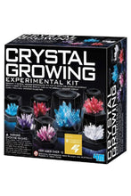 4M | Crystal Growing Experimental Kit/Eu | 48603915
