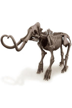 4M | Dig A Mammoth Skeleton Excavation | 48603236
