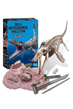 4M | Dig A Mosasaurus Skeleton | 48603457