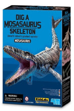 4M | Dig A Mosasaurus Skeleton | 48603457