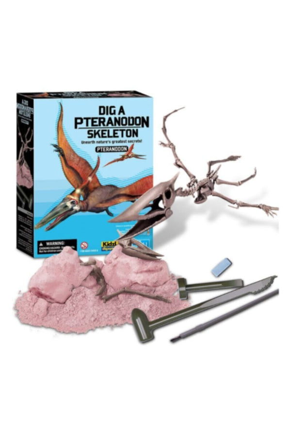4M | Dig A Pteranodon Skeleton | 48603459