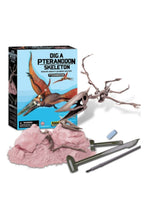4M | Dig A Pteranodon Skeleton | 48603459