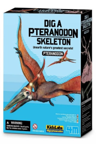 4M | Dig A Pteranodon Skeleton | 48603459